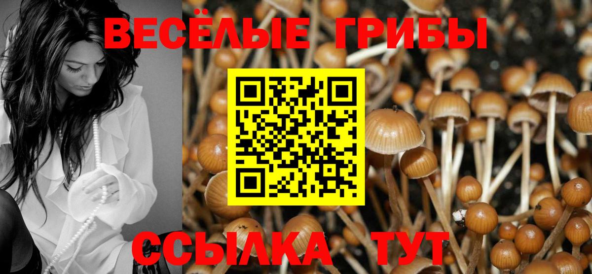 Галлюциногенные грибы GOLDEN TEACHER  Вход с VPN  Псилоцибиновые грибы Magic Shrooms  Людиново 